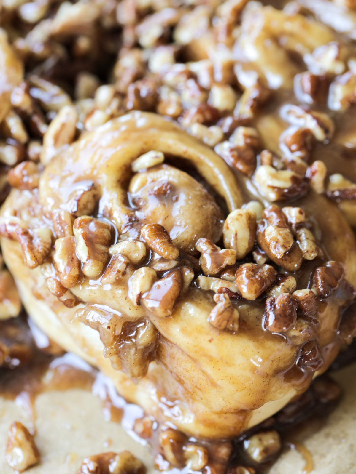 A closeup of a sourdough pecan sticky bun is shown--gooey caramel, soft, fluffy roll.