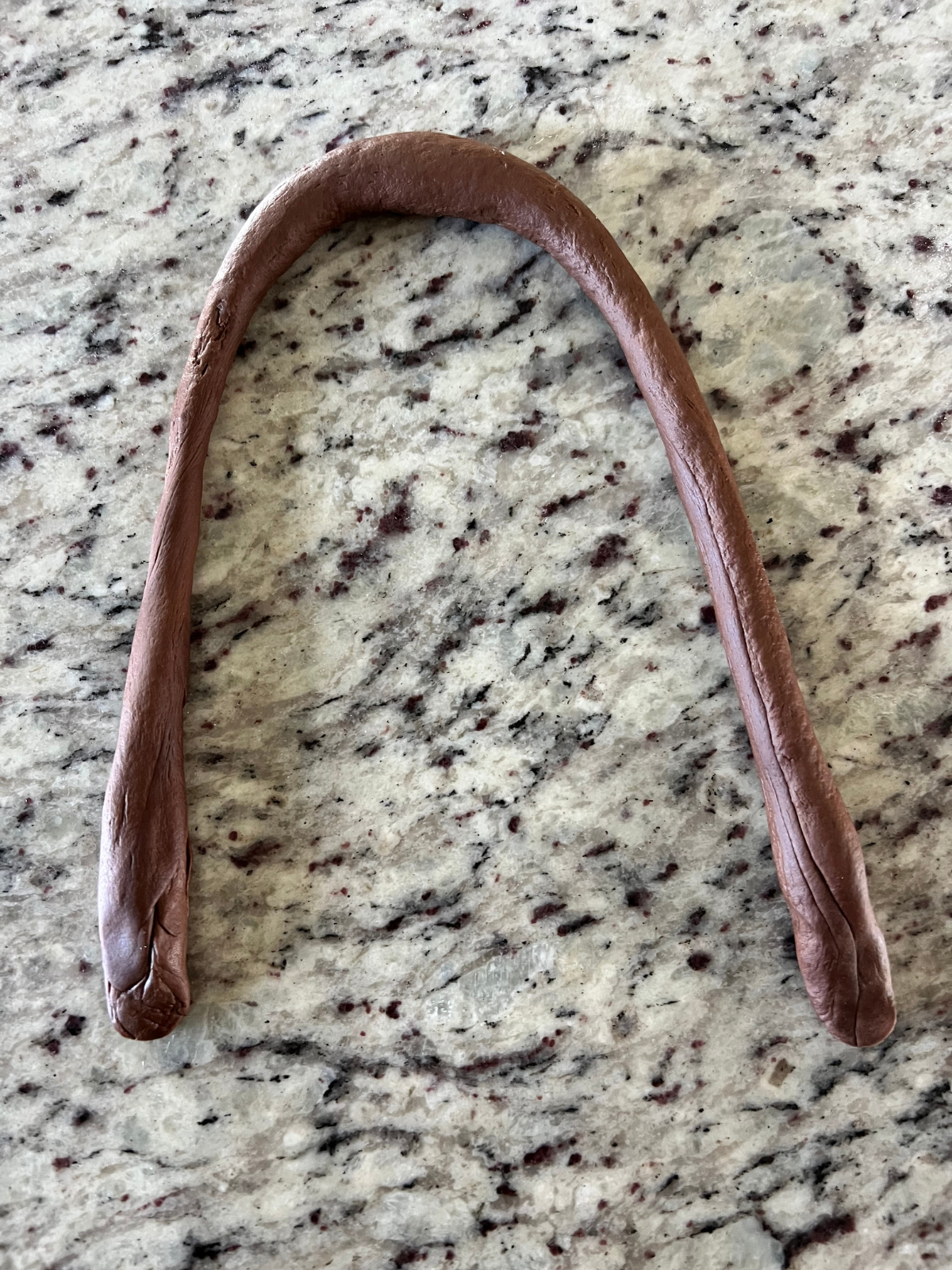The sourdough pretzel dough rope is shown in an upside down "U" shape.