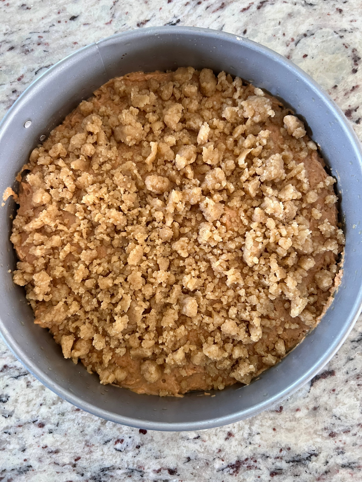 The sourdough discard pumpkin coffee cake batter is in the springofmr pan topped with the crumble and ready to be baked.