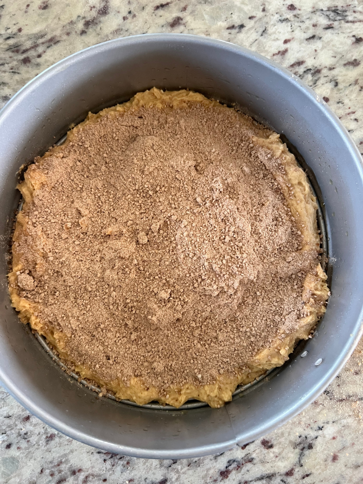 Half of the sourdough discard pumpkin coffee cake batter sits in a springform pan with the cinnamon sugar sprinkled over it.