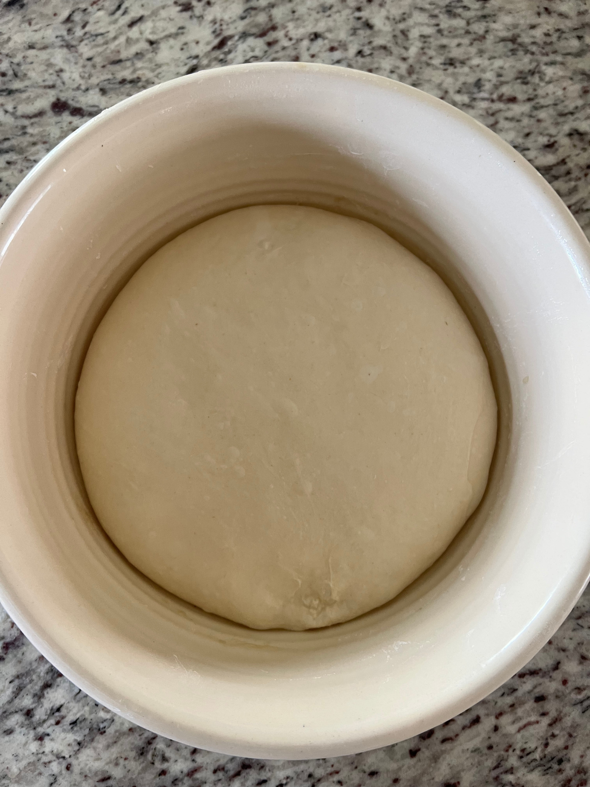 The fully bulk fermented dough for the maple pecan sourdough bread is shown in the mixing bowl. 