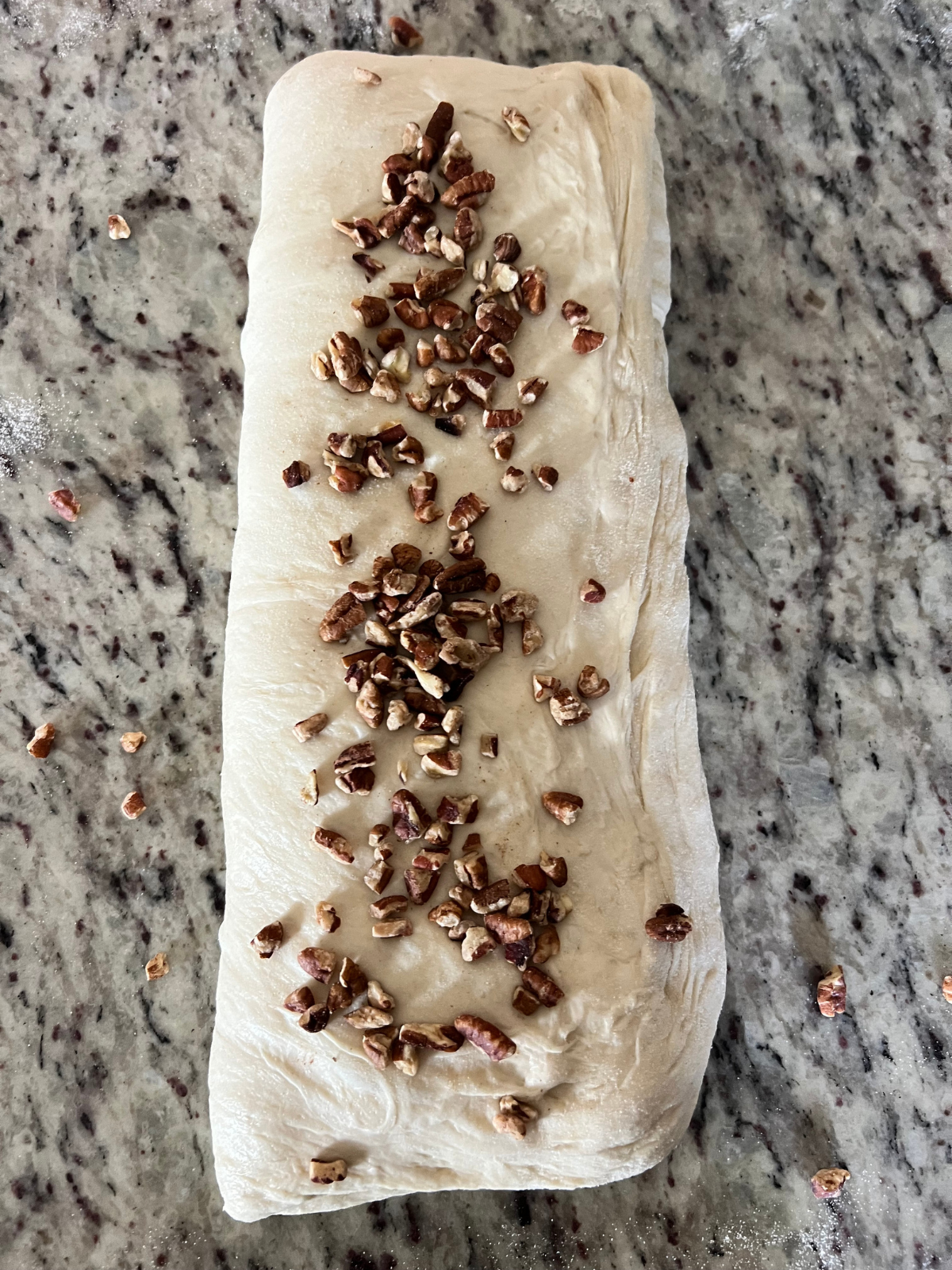 The dough for the sourdough maple pecan loaf has been folded into a log and topped with the remaining pecans.