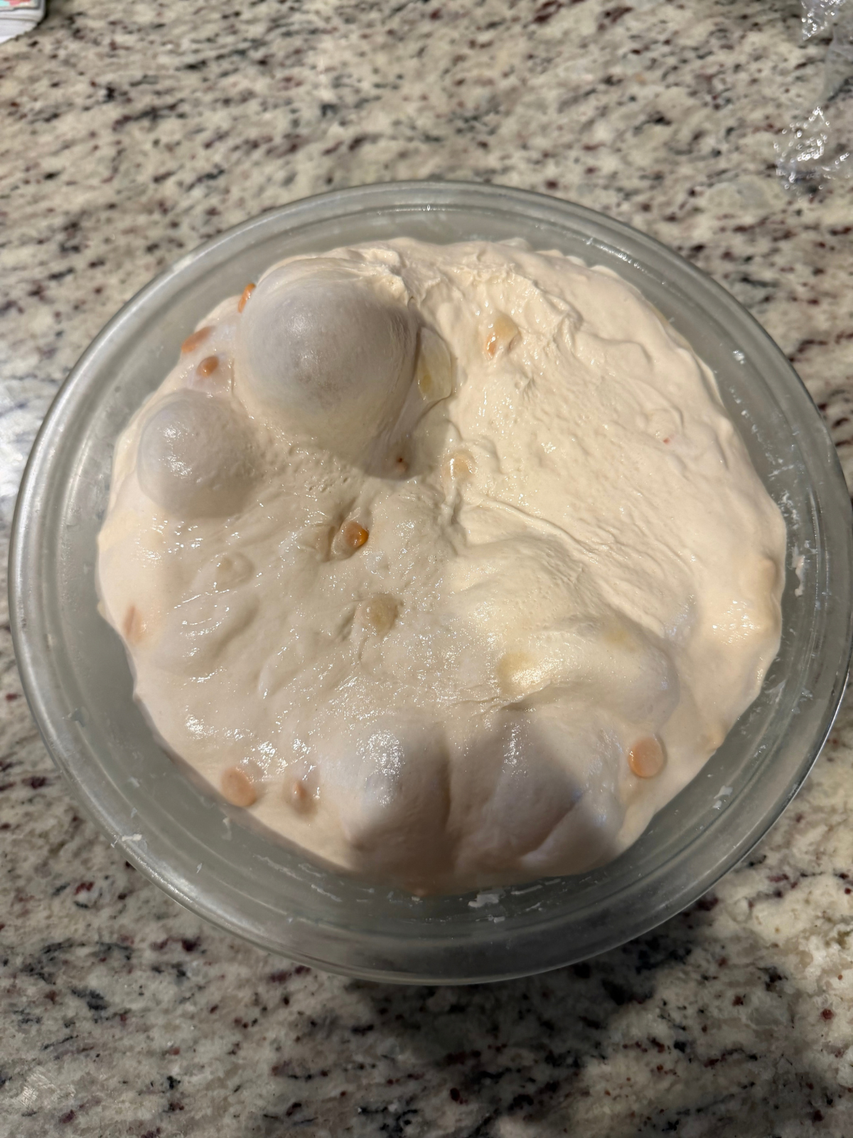 The apple cider butterscotch sourdough bread dough has completely bulk fermentation. It has risen and is bubbly--ready to shape!
