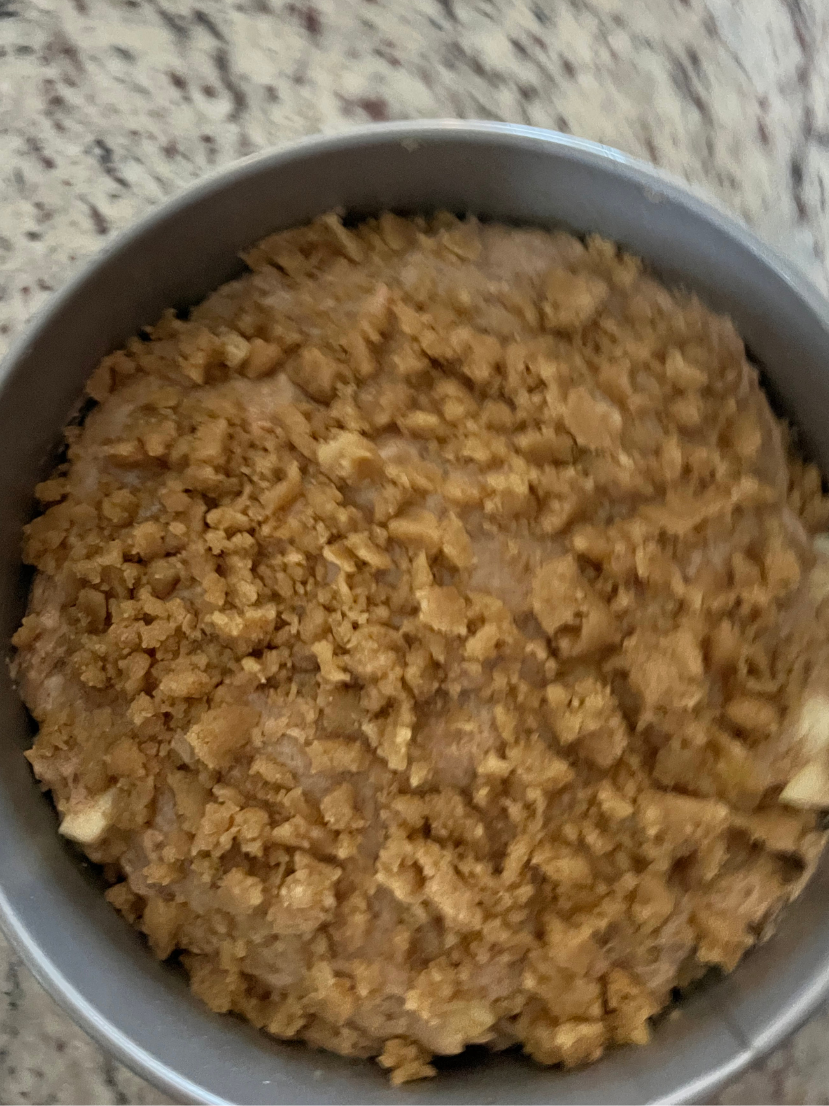 The sourdough discard apple coffee cake batter is shown in the 9 inch springform pan with the crumble on top.