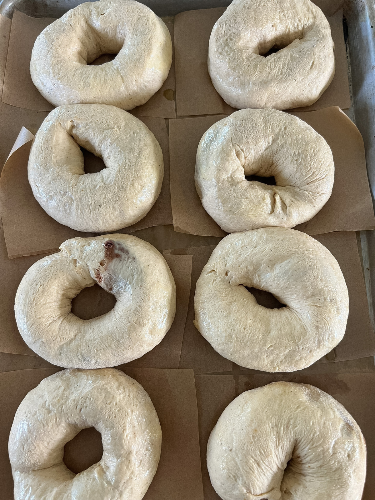 The sourdough pumpkin cinnamon swirl bagels have had their second rise and are ready to be boiled.