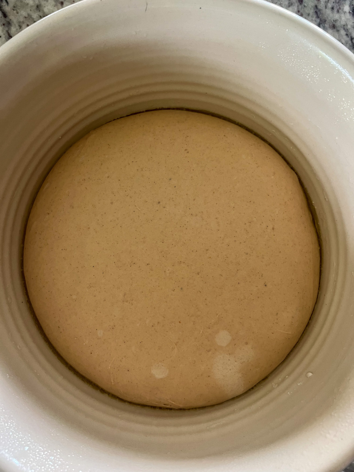 Fully bulk fermented sourdough pumpkin bagel dough sits in a mixing bowl.