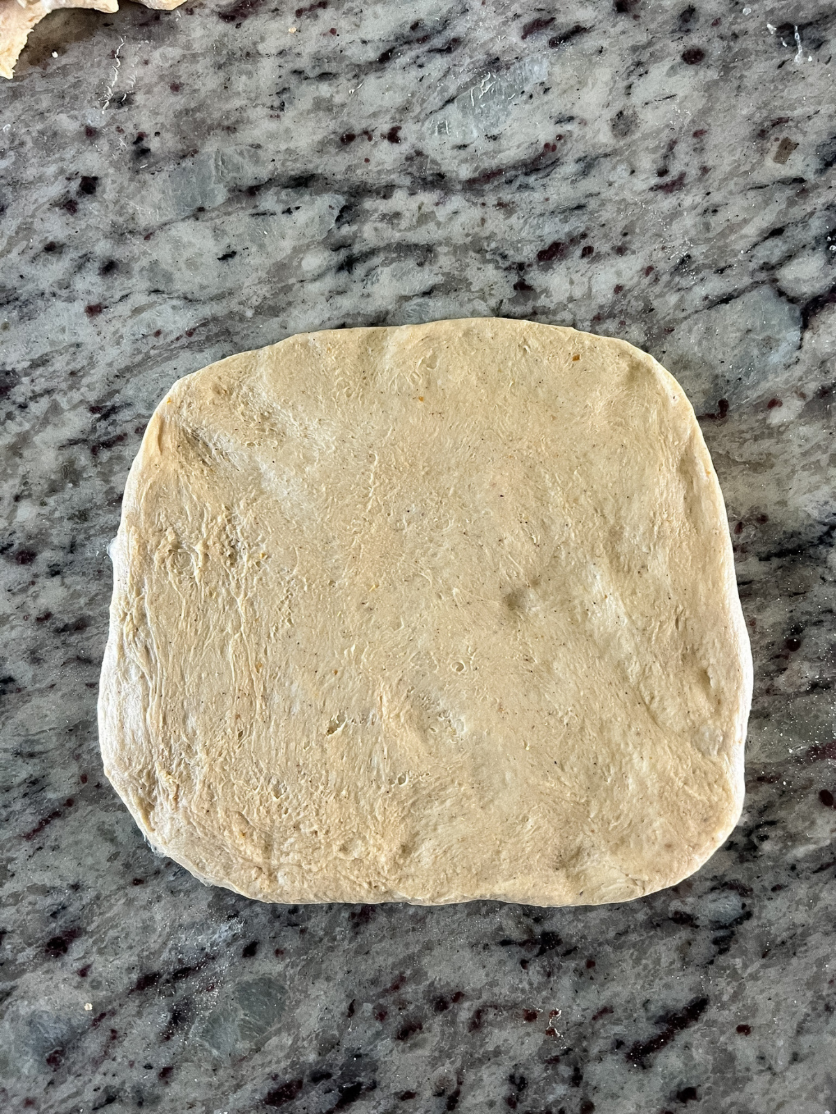 The sourdough pumpkin cinnamon swirl bagel dough has been divided into 8 equal portions and shaped into a rectangle.