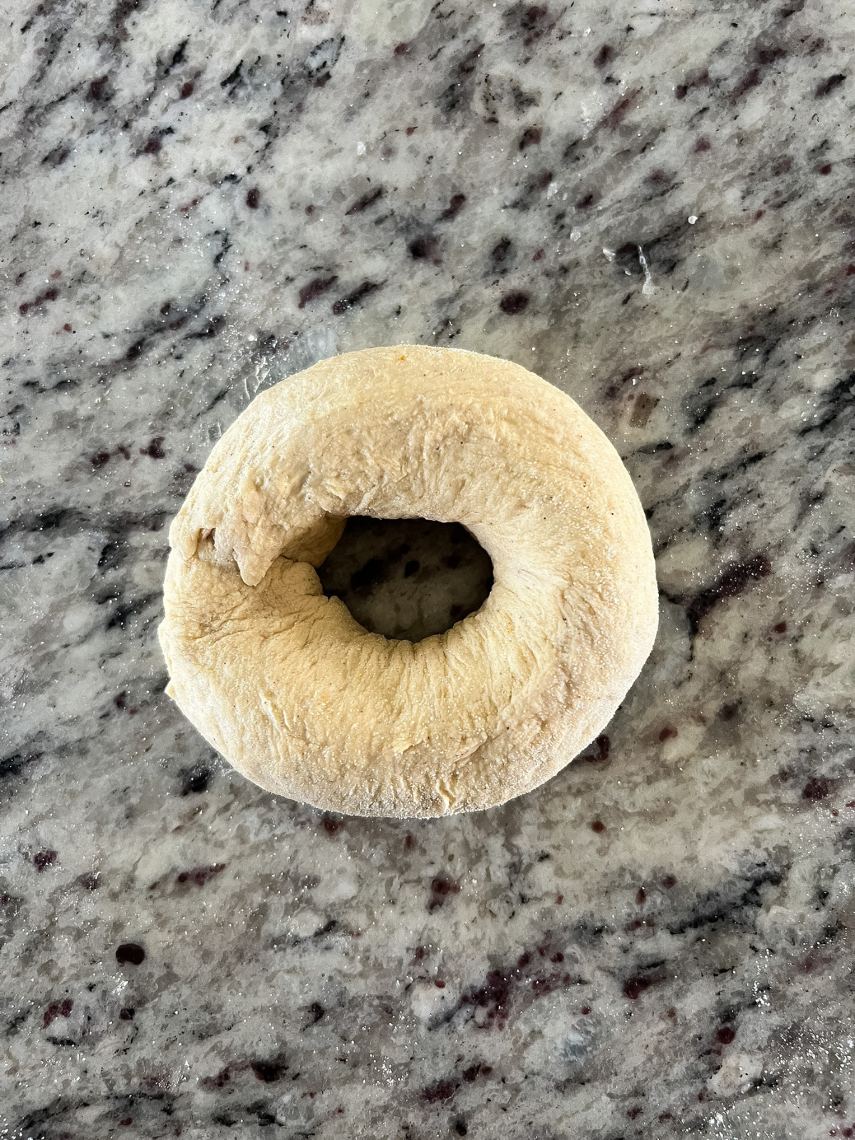 The dough has been shaped for the pumpkin sourdough bagels.