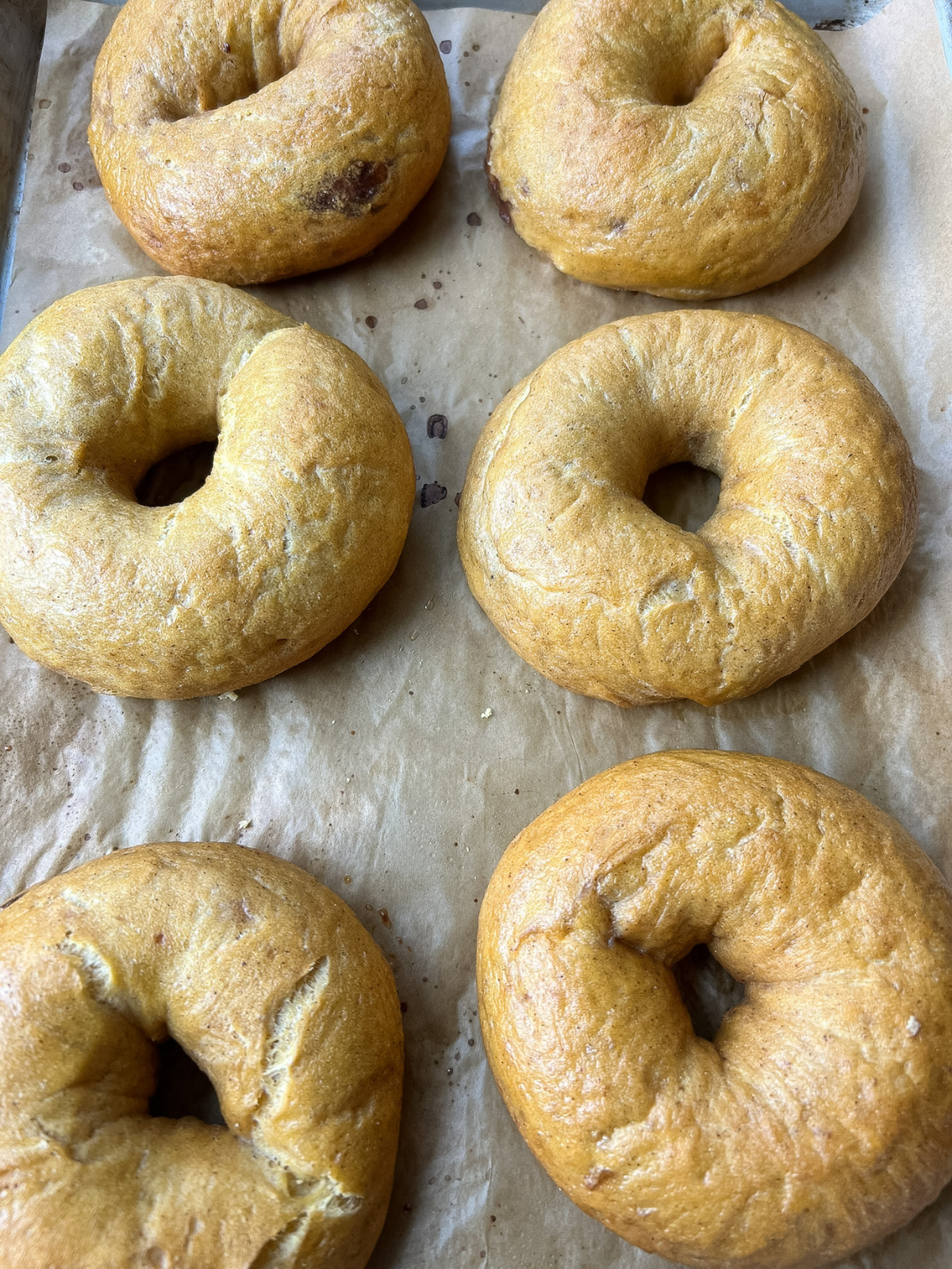 The freshly baked sourdough pumpkin cinnamon swirl bagels are shown on a parchment paper lined baking sheet.