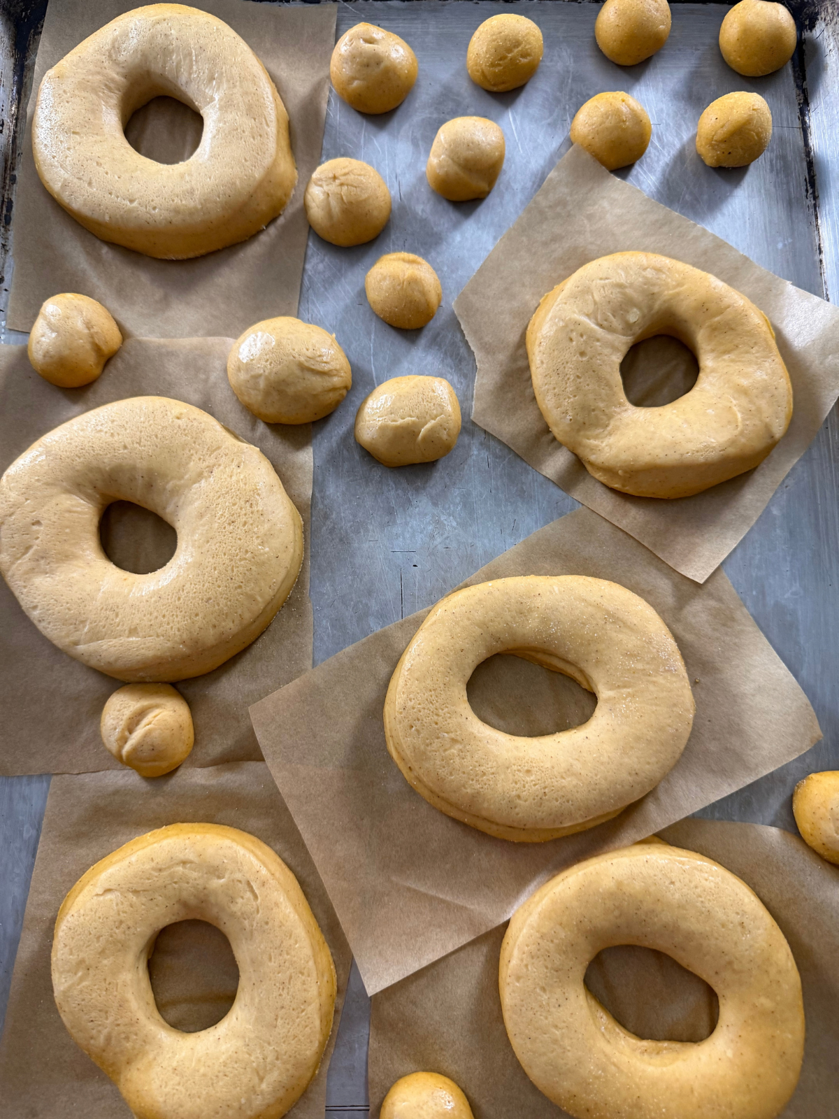 The sourdough pumpkin donut dough is shown after their second rise. They are ready to be fried.