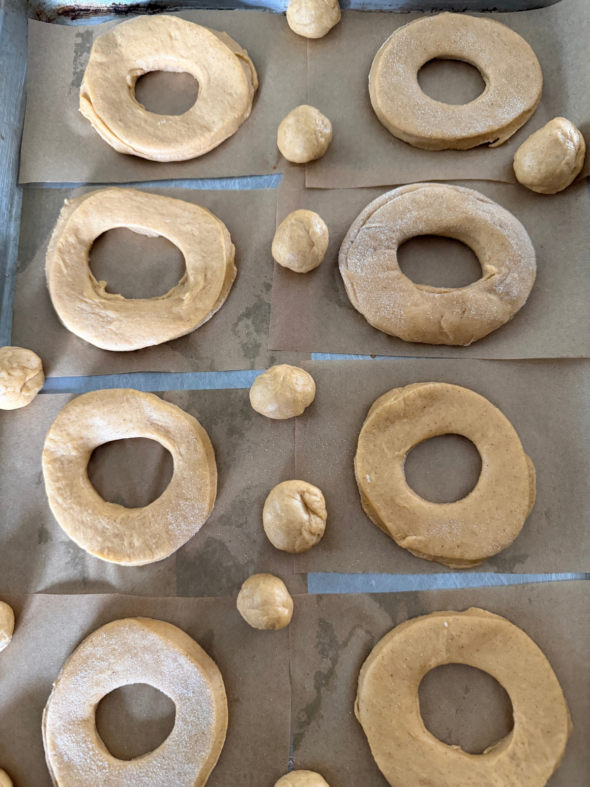 The sourdough pumpkin donuts are shaped and ready for their second rise.