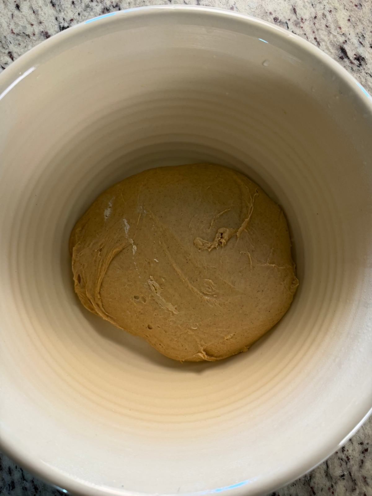The sourdough apple babka dough ball is shown in a mixing bowl.