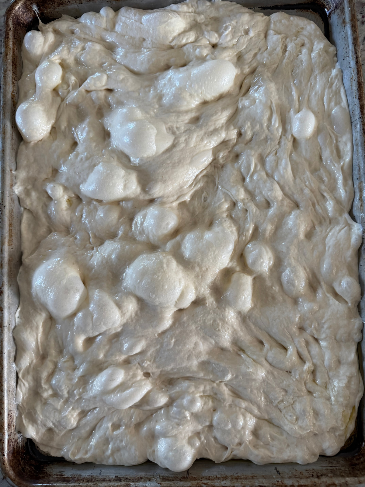 The sourdough apple streusel focaccia is shown very bubbly on the baking sheet after its second rise.